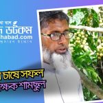 নোয়াখালীতে মেঘনায় ধরা পড়া পাঙাশ বিক্রি হলো ৪ হাজারে
