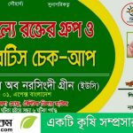 মাজরা পোকা: ধানের মারাত্মক ক্ষতিকর পোকা ও এর ব্যবস্থাপনা