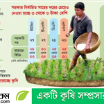 কোল্ড স্টোরেজ ভাড়ার বৃদ্ধিতে কৃষকদের প্রতিবাদ: মহাসড়কে আলু নিক্ষেপ