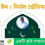 ভূমিকম্পের সময় করণীয়: ঢাকা শহরের জন্য বিশেষ নির্দেশিকা