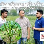 হাওরে পানিতে তলিয়ে যাওয়া কাঁচা ধান কাটছেন কৃষক, বাড়ছে ক্ষতির শঙ্কা