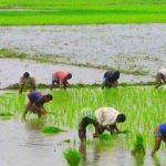 নিউ মিডিয়া শুধু বিনোদন নয়, জীবন পরিবর্তনের শক্তিশালী মাধ্যম